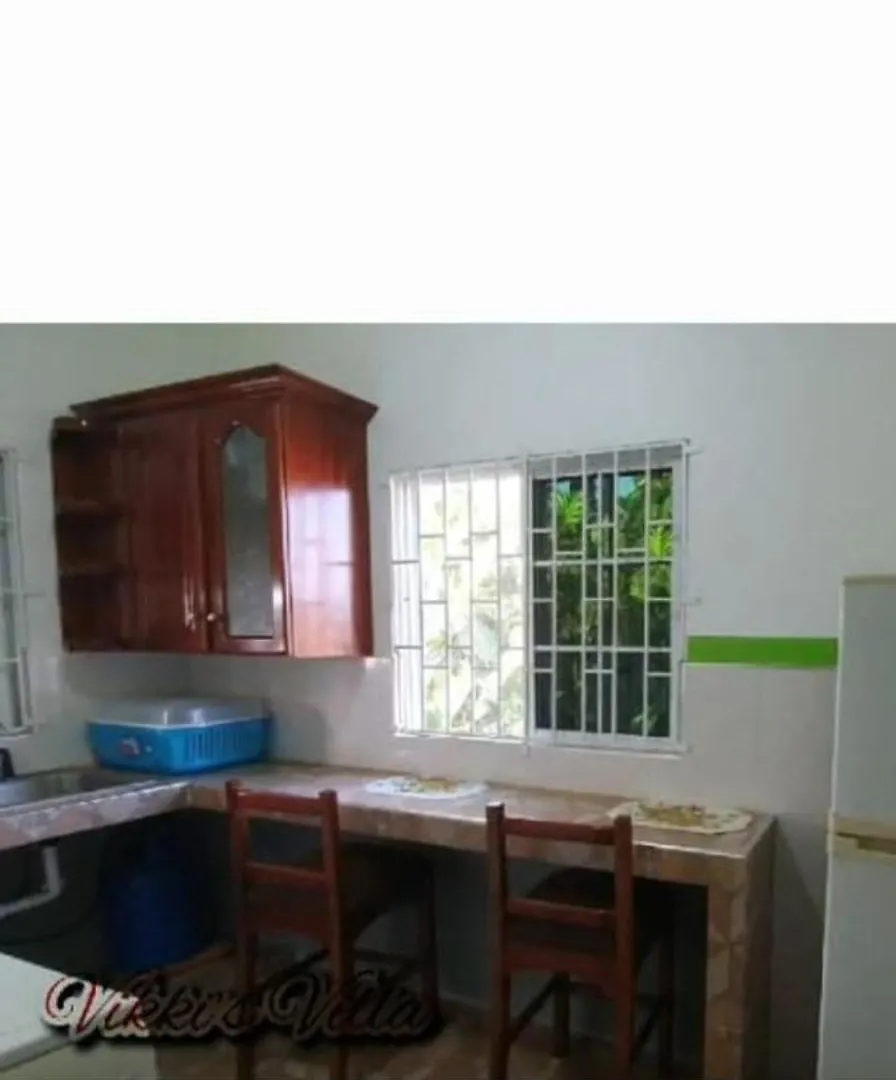 Vikki'S Villa Linstead