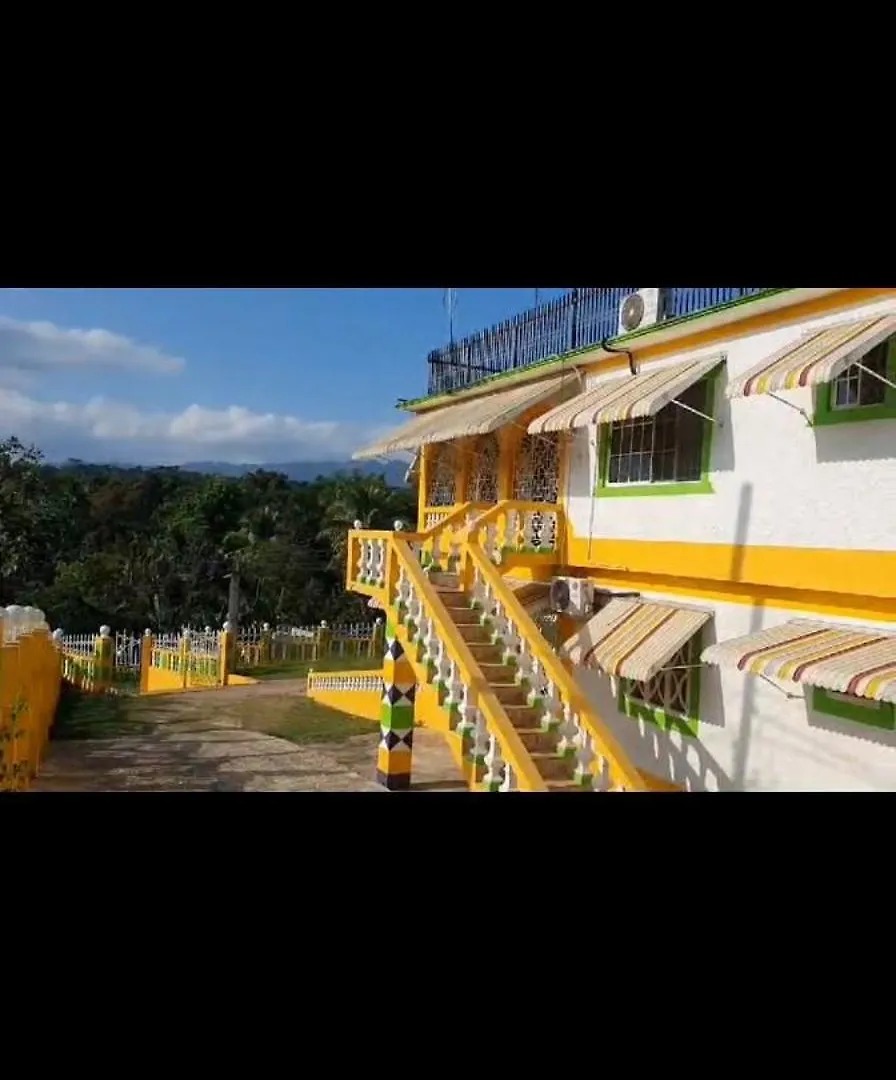 Vikki'S Villa Linstead Jamaica