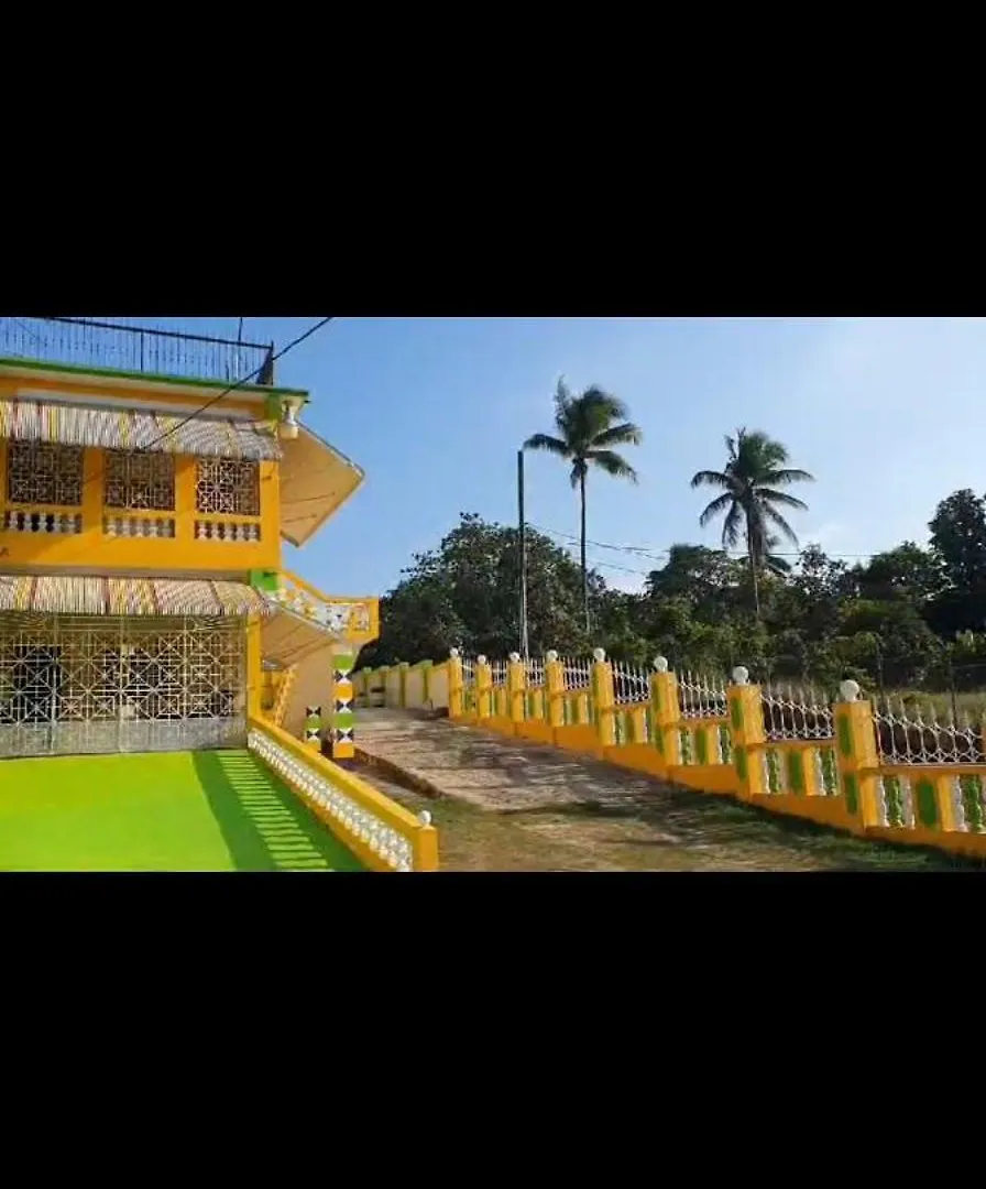 Vikki'S Villa Linstead