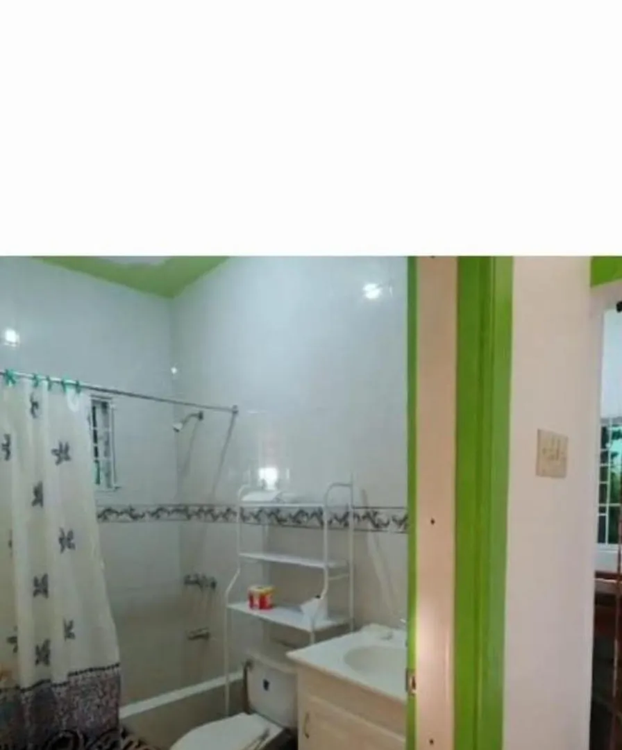 Vikki'S Villa Linstead